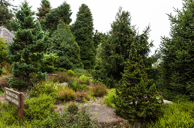 SSC Arboretum, United States